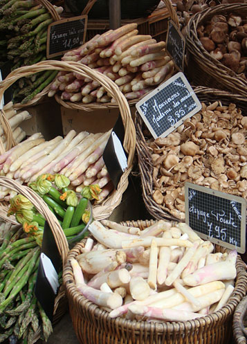 Cooking Tours in France